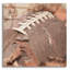 «Football Season» par Lori Deiter-1438116736