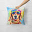  Housse et insert de coussin décoratif en polyester