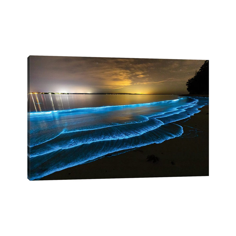 Bioluminescence Jervis Bay par Jordan Robins - reproduction de photo sur toile tendue, H 26 po x l 40 po x 1,5 po