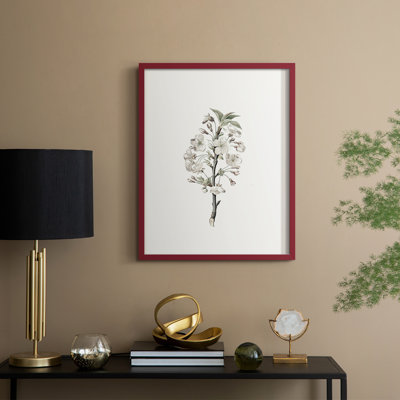 Reproduction florale vintage encadrée CL XXXVI - bois massif