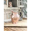 Grand pichet Coppermill