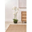 115cm Faux Plant in Cement Pot Liner