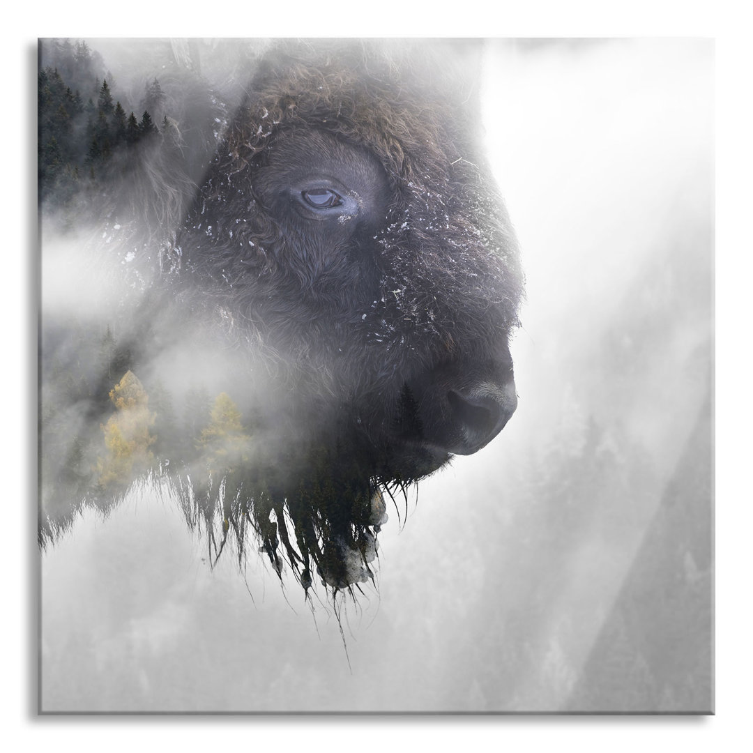 Glasbild Wildes Bison in nebeligem Wald