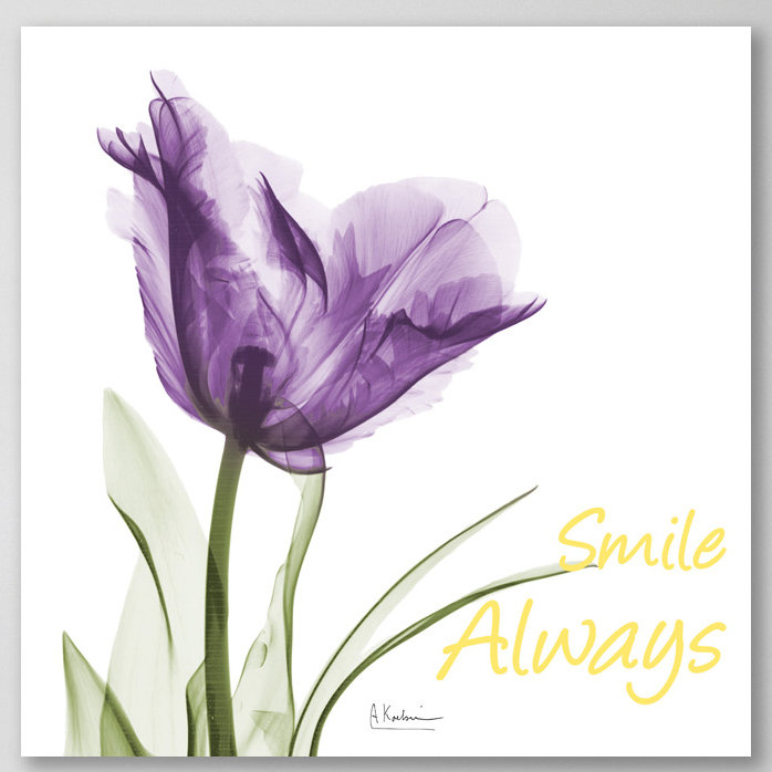 Smile Always Tulip - Wrapped Canvas Print, 76cm H x 76cm W