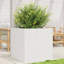 2 Wood Planter-100491985-100491984