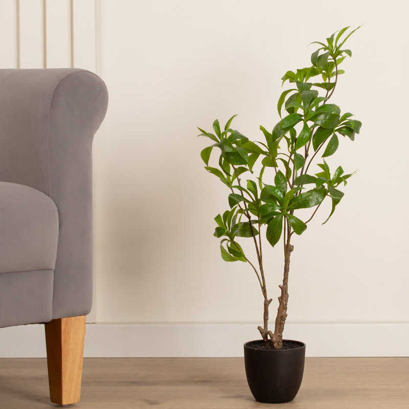 68cm Faux Real Touch Pieris Tree