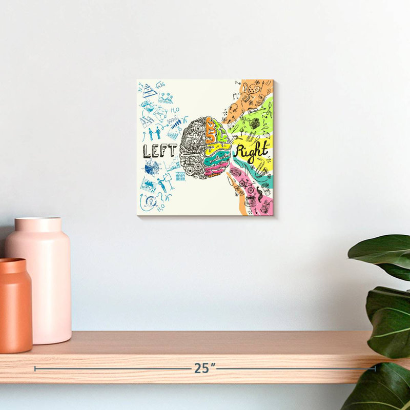 Alcaraz Brain Hemispheres, H 10 po x l 10 po