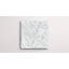 Agglo 24" x 24" Honed-351334307