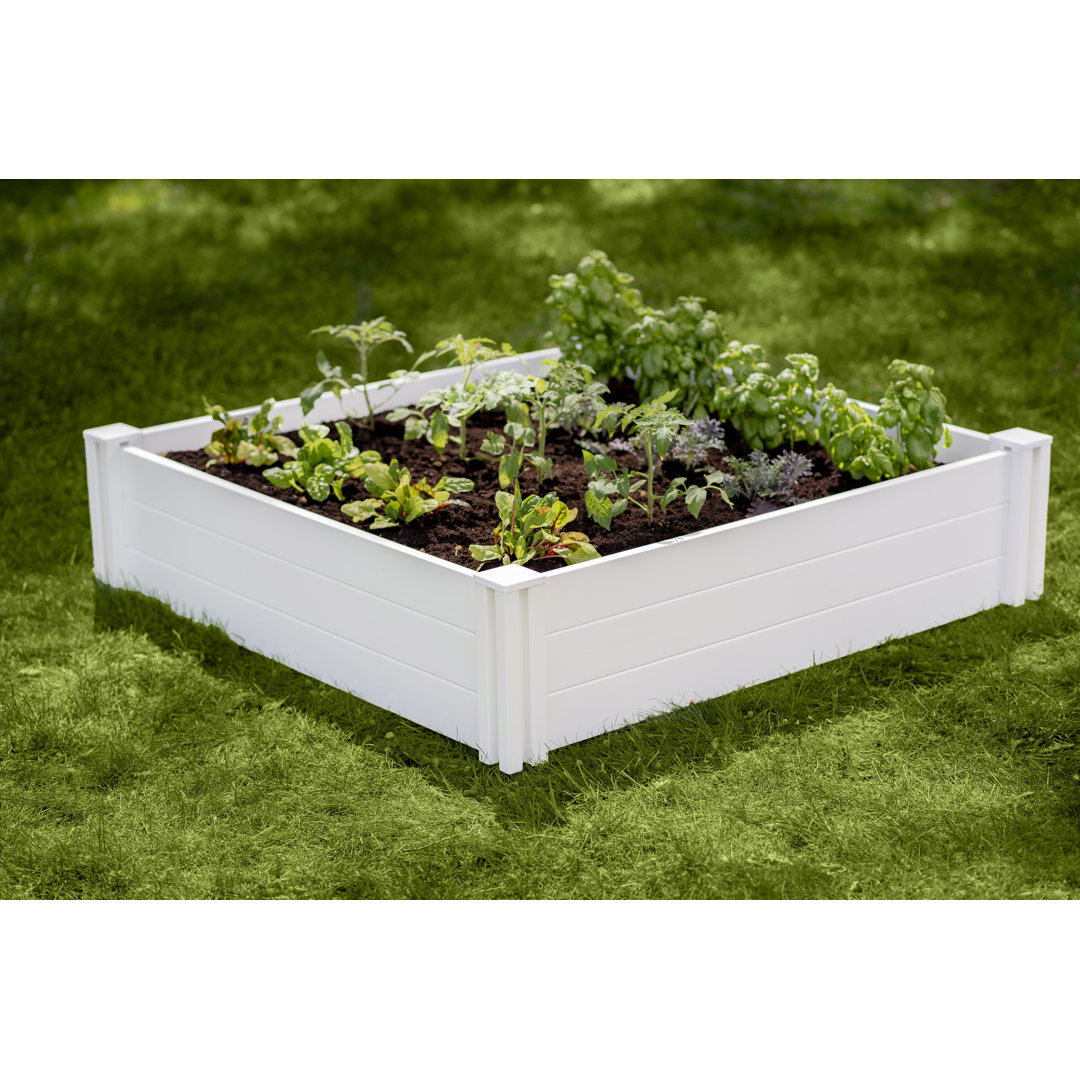 Emme 4 ft x 4 ft Plastic Raised Garden Bed Arlmont & Co.