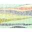 Circular Horizon Print by Trish Sierer-65858966-132434001