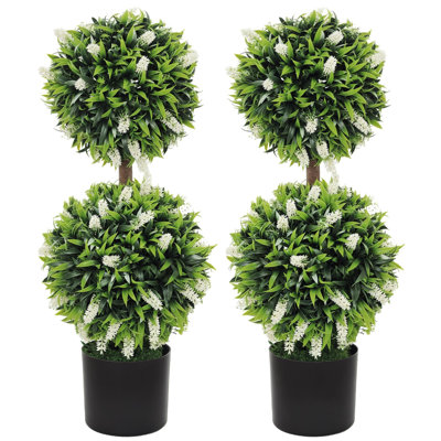 70cm Plant