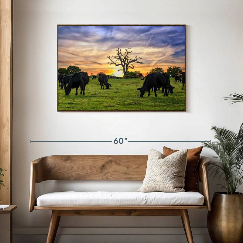 Pâturages Aberdeen Angus, Cadre flottant en noyer, 43 po x 29 po