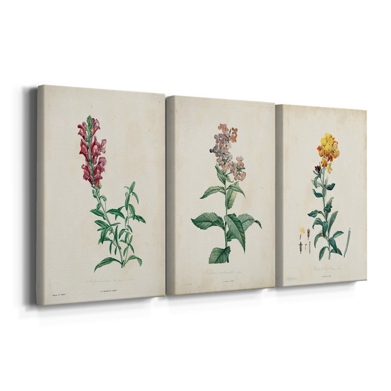 Traditional Botanical I - Toile tendue avec châssis sur mesure - 3 pièces, H 60 po x l 120 po