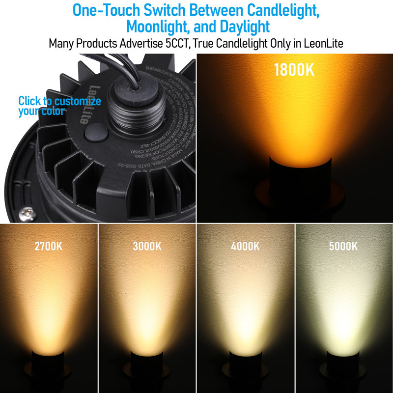 Pozzo Hooded Low Voltage LED Well Light, In-Ground Landscape Uplight for Trees and Garden, 5CCT, Black, Black