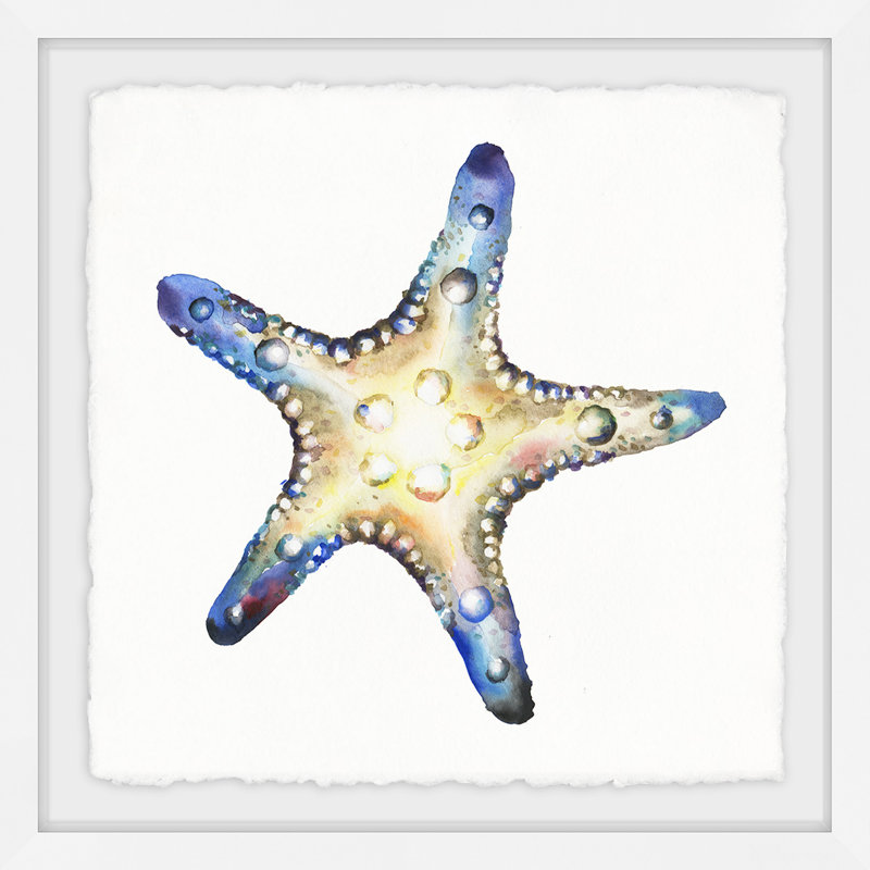 Étoile de mer brillante - reproduction de cadre photo, H 12 po x l 12 po x P 1,5 po