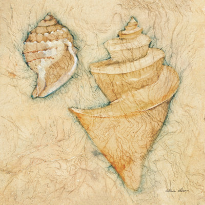Shells II by Cheri Blum