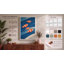 Swimming Clownfish Coastal - Print-136802778-136802783