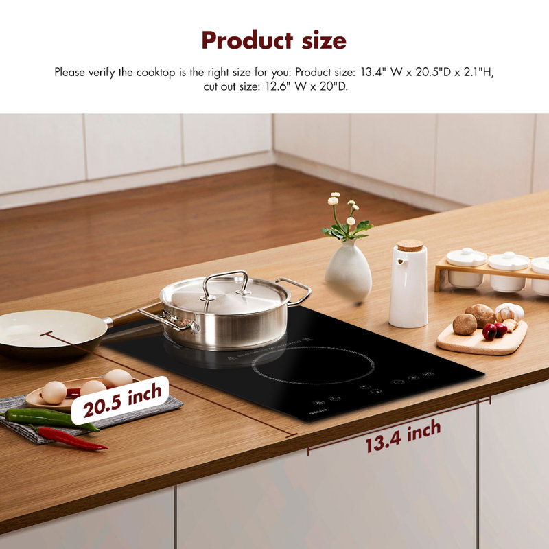 Plaque de cuisson à induction 22 po avec 2 brûleurs