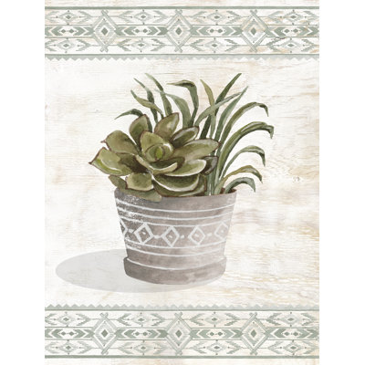 Aztec Succulent V by Cindy Jacobs