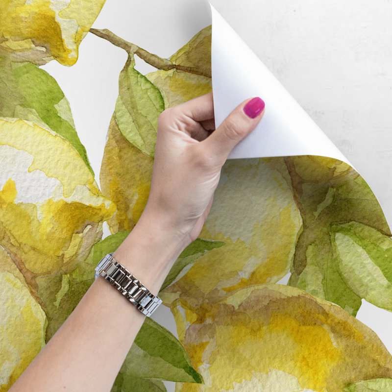 Byrdjr 2.5m x 2.5m Matte Mural, 416 x 254cm