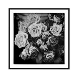 Fading Roses - Picture Frame Photograph on Paper