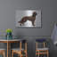 «Irish Setters» par Harro Maass-1914823146