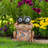 12" Frog With Solar Goggles, Multi