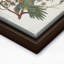 John James Audubon - perroquet de la Caroline-1339624368-1339624361-1339624360