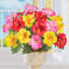 Buissons d'hibiscus-671318903