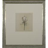 Iris Print