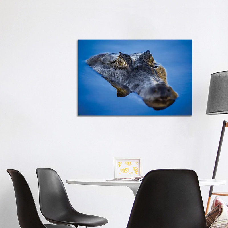 Caiman Reflection Pantanal by Mogens Trolle - Wrapped Canvas Print, 101.6 cm H x 66.04 cm W x 1.91 cm D