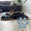 Lit pour animaux de compagnie Gus, sable-1710491541-1710491540