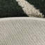 Tapis vert Fern-393281161