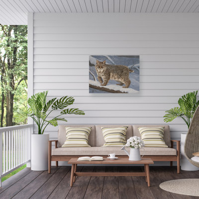 Toile d'extérieur Jeff Hoff Bobcat