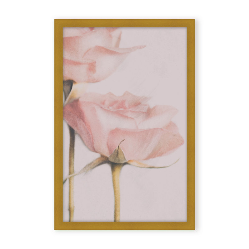 Nature Inspired Two Roses by  - Picture Frame Photograph on Paper, 36" H x 24" W x 1.125" D, Framed Print, White