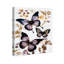 Butterfly Dance III par Wynwood Studio-1696823868