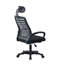 Roulston Mesh Office Chair-103018417