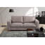 Maximina 2 Seater Sofa Bed-806667480