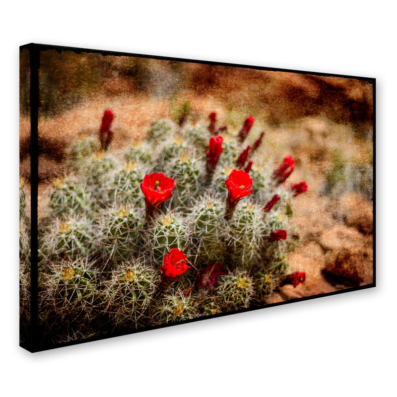 «Desert Flower 3», reproduction de photo sur toile tendue, H 30 po x l 47 po x P 2 po