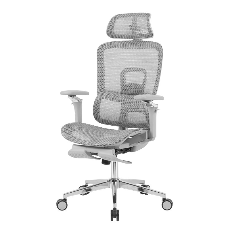 Chaise de bureau ergonomique en filet avec accoudoirs 5D et repose-pieds rétractable, Gris