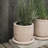 Sand Terra Pot-127664502