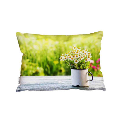 Cushion