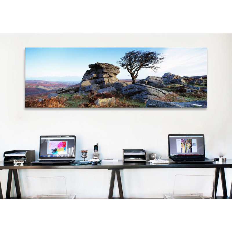«Panoramic Bare Tree Near Rocks, Haytor Rocks, Dartmoor, Devon, England» par Panoramic Images - Impression sur toile tendue sur châssis