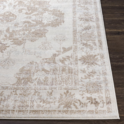 Emmert Oriental Indoor Rug