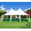 Tapis extérieur House, Home and More - vert-875352852