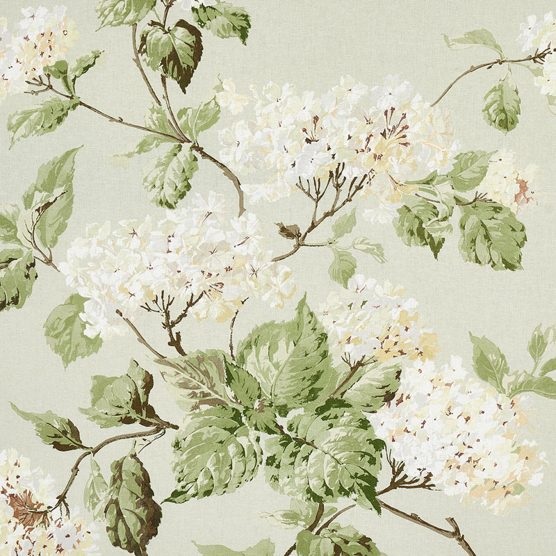 Tissu hortensia d'été, Céladon