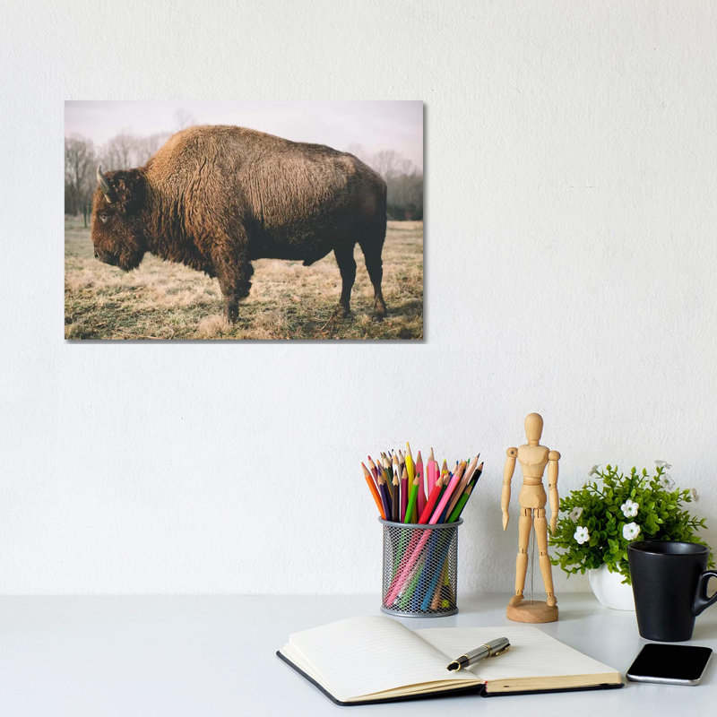 Solitary Bison V by Adam Mead - Wrapped Canvas Gallery-Wrapped Canvas Giclée, 20.32cm H x 30.48cm W