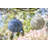12'' Solar Powered Integrated LED Globe Lantern