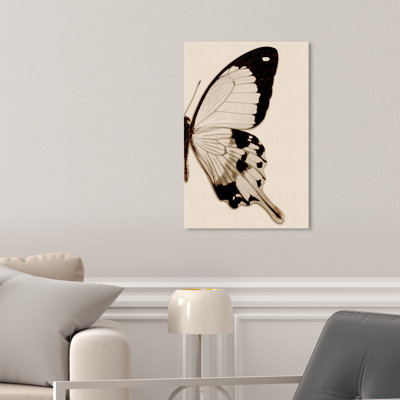 Animals Sepia Butterfly II Insects  Photograph Print on Canvas