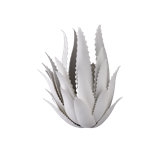 Agave Wall Sconce